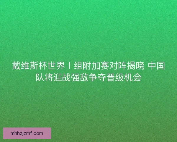 戴维斯杯世界Ⅰ组附加赛对阵揭晓 中国队将迎战强敌争夺晋级机会