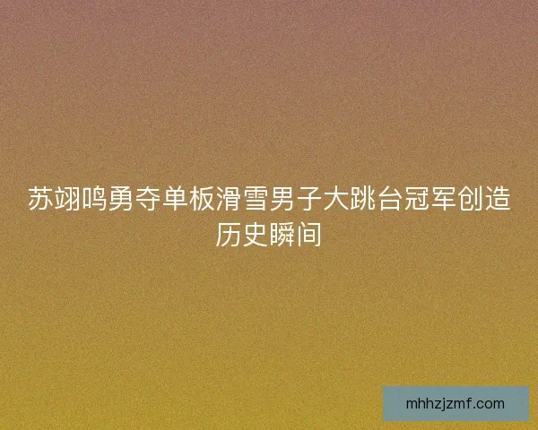 苏翊鸣勇夺单板滑雪男子大跳台冠军创造历史瞬间